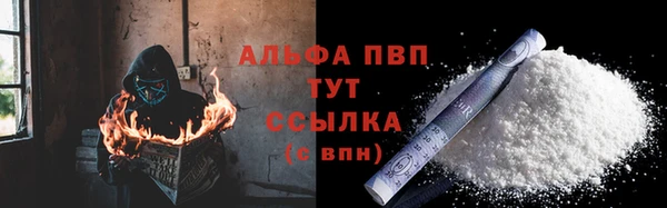 сатива Заводоуковск