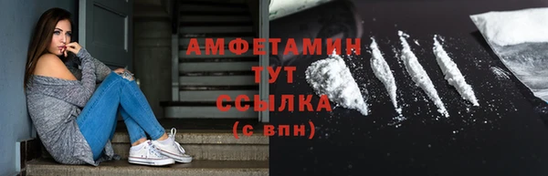 сатива Заводоуковск