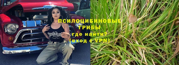 сатива Заводоуковск