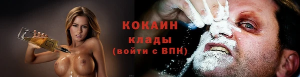 сатива Заводоуковск