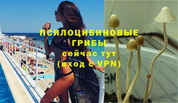 сатива Заводоуковск