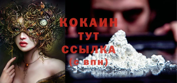сатива Заводоуковск
