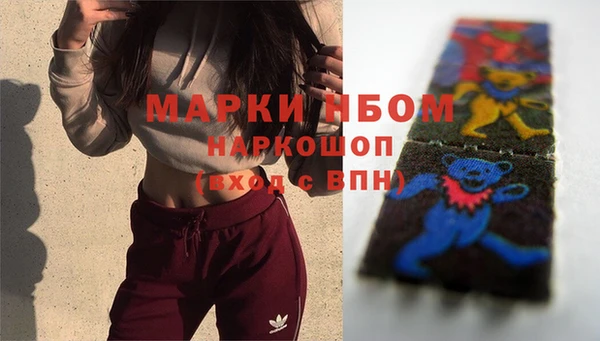 сатива Заводоуковск