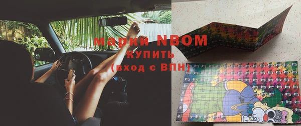 сатива Заводоуковск