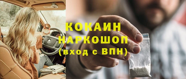 сатива Заводоуковск