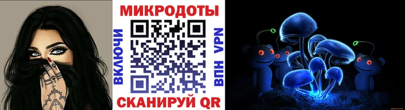 Псилоцибиновые грибы MAGIC MUSHROOMS  Купить закладки  Камень-на-Оби 